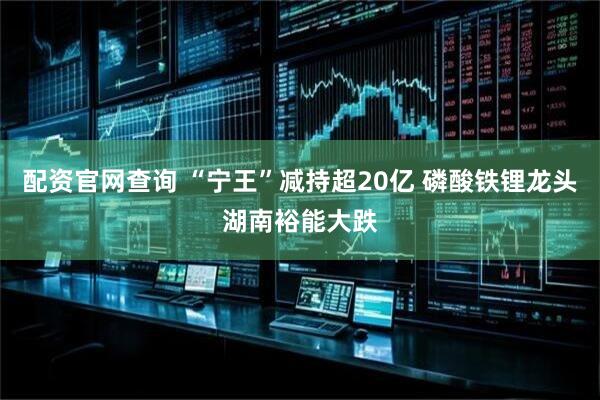 配资官网查询 “宁王”减持超20亿 磷酸铁锂龙头湖南裕能大跌